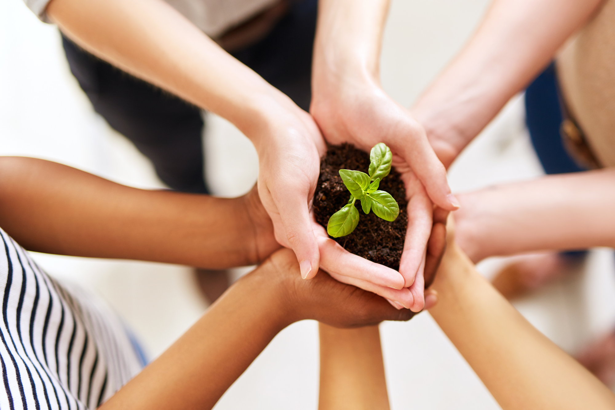 Development Assessments Catalyze Culture of Philanthropy